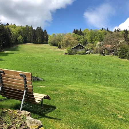 Haus An Der Bergwiese Waldkirchen Εξωτερικό φωτογραφία