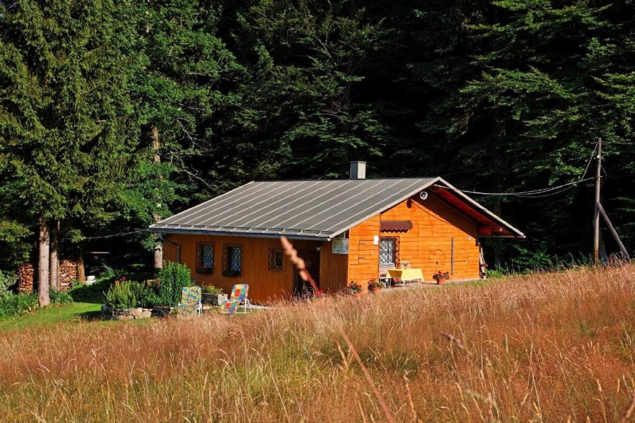 Haus An Der Bergwiese Waldkirchen Εξωτερικό φωτογραφία