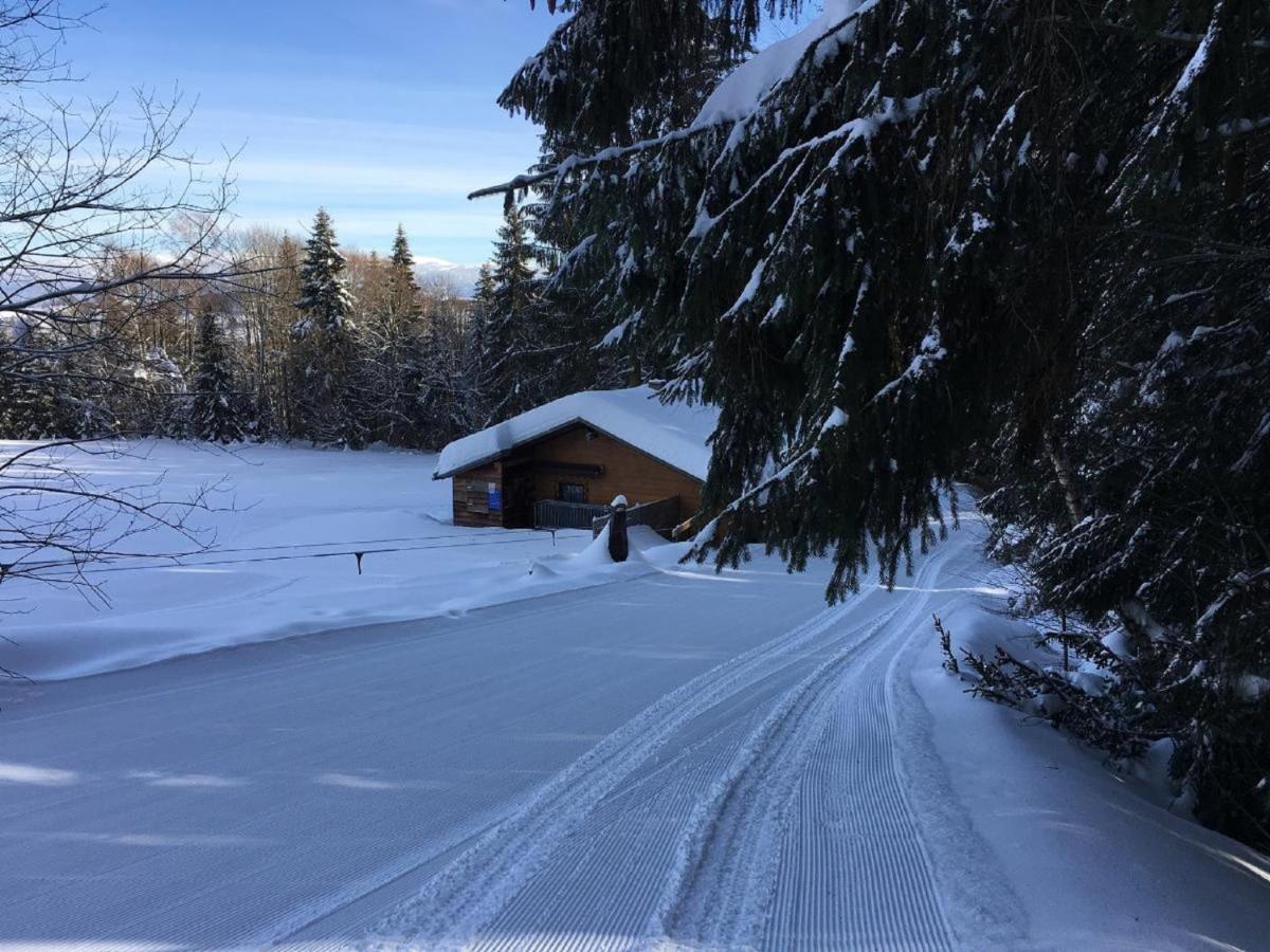 Haus An Der Bergwiese Waldkirchen Εξωτερικό φωτογραφία